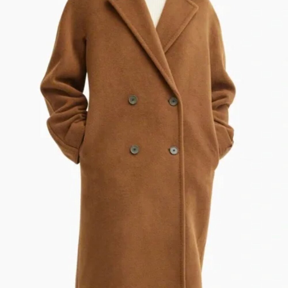 Babaton Aritzia Slouch Coat